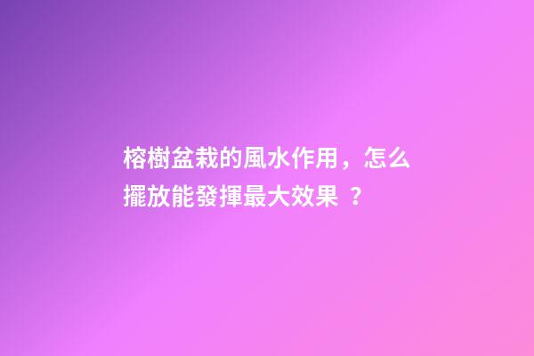 榕樹盆栽的風水作用，怎么擺放能發揮最大效果？